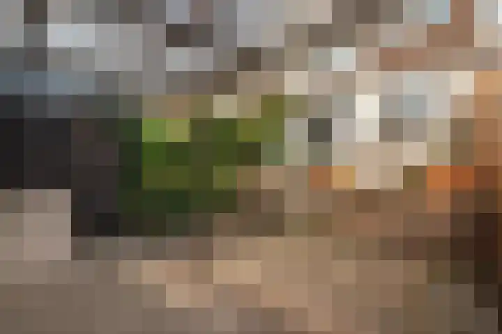 Apolloplantsoen 6 Zaandam thumbnail 12