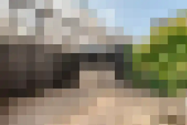 Apolloplantsoen 6 Zaandam thumbnail 14