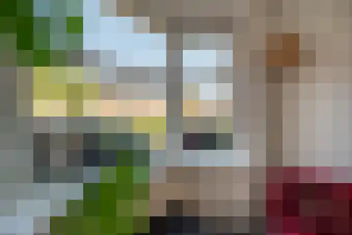 Apolloplantsoen 6 Zaandam thumbnail 19