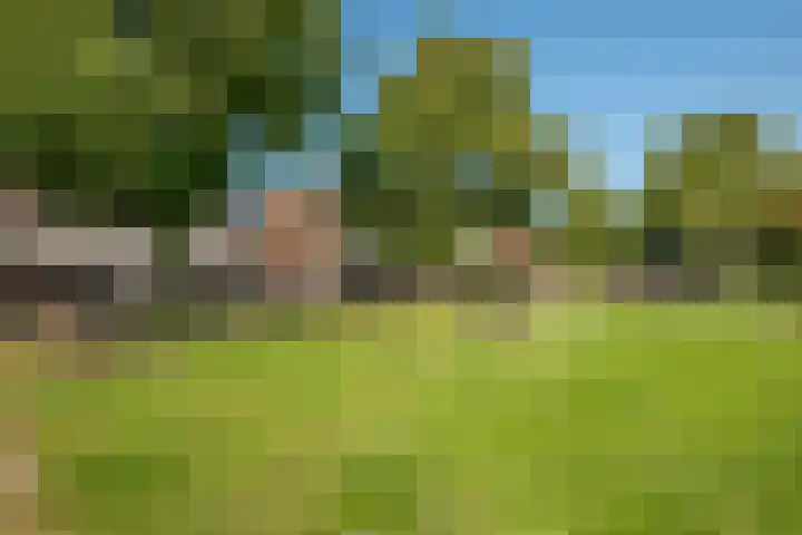 Apolloplantsoen 6 Zaandam thumbnail 47