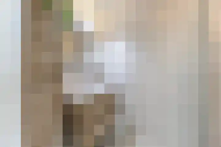 Apolloplein 113 Hengelo thumbnail 24