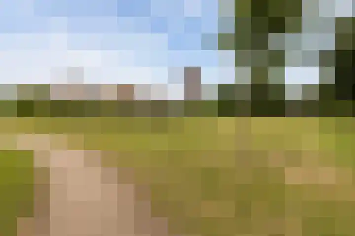 Apolloplein 113 Hengelo thumbnail 30