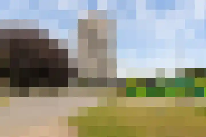 Apolloplein 113 Hengelo thumbnail 37