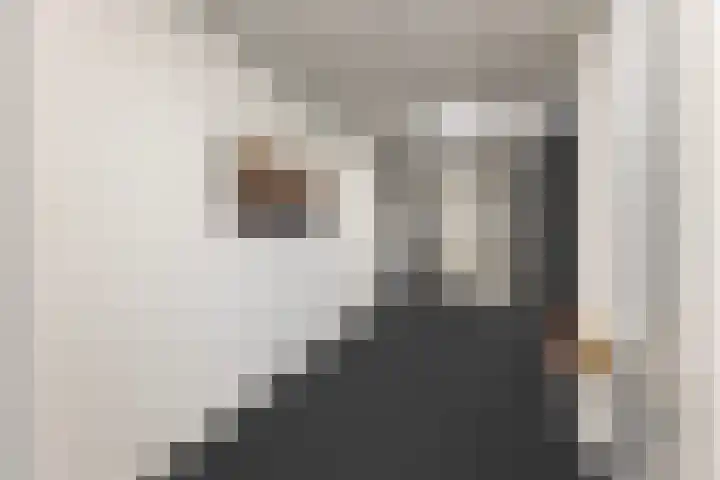 Apolloplein 113 Hengelo thumbnail 9