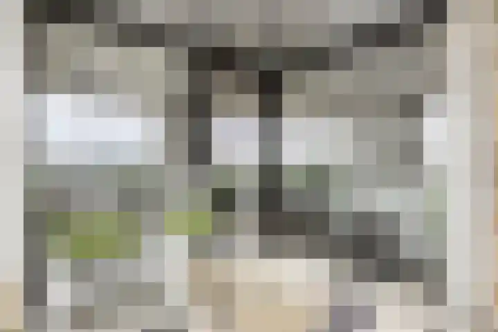 Apolloplein 119 Hengelo thumbnail 25