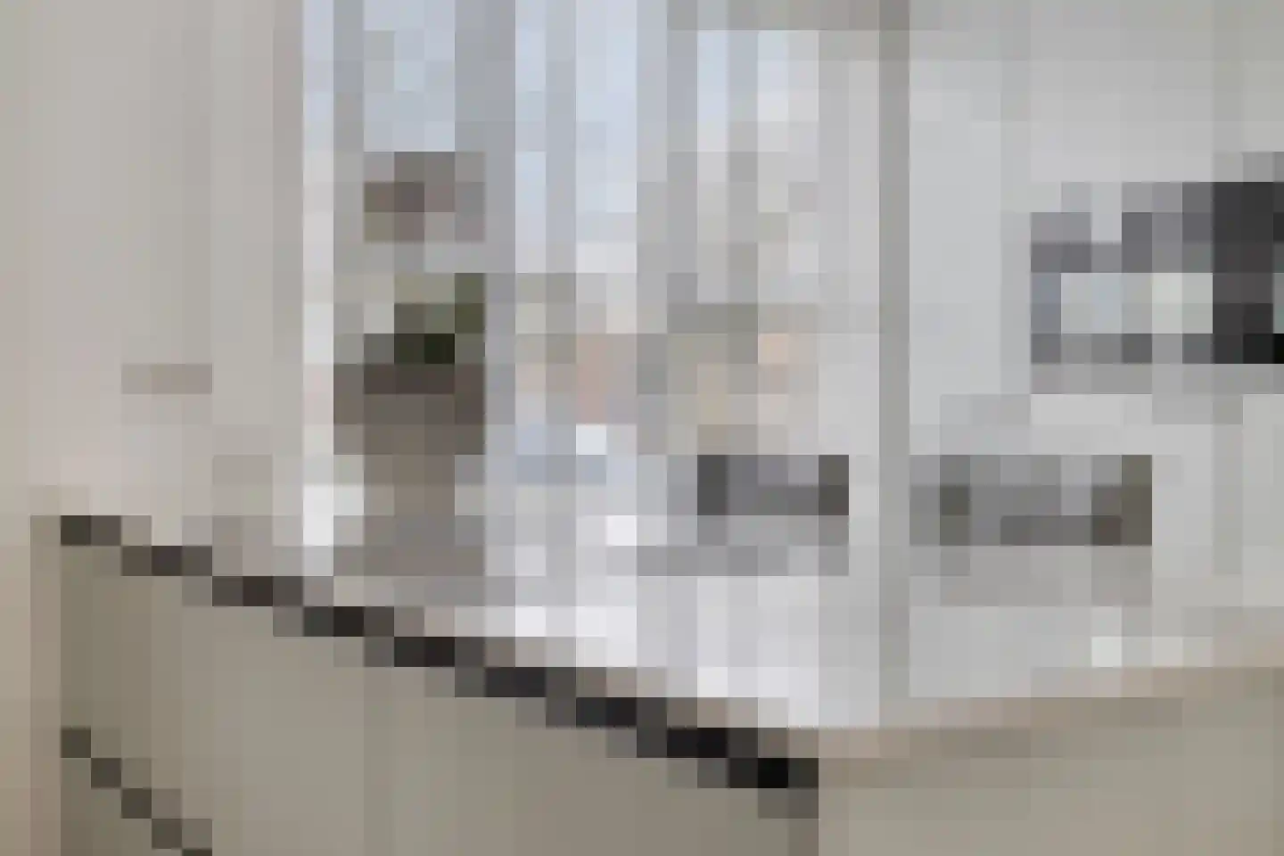 Apollostraat 11 Berlicum thumbnail 18