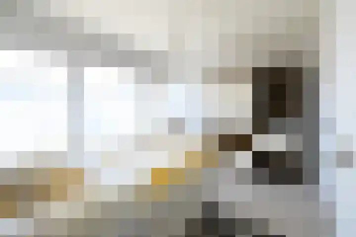 Apollostraat 12 Heel thumbnail 17