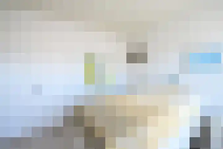 Apollostraat 12 Heel thumbnail 18
