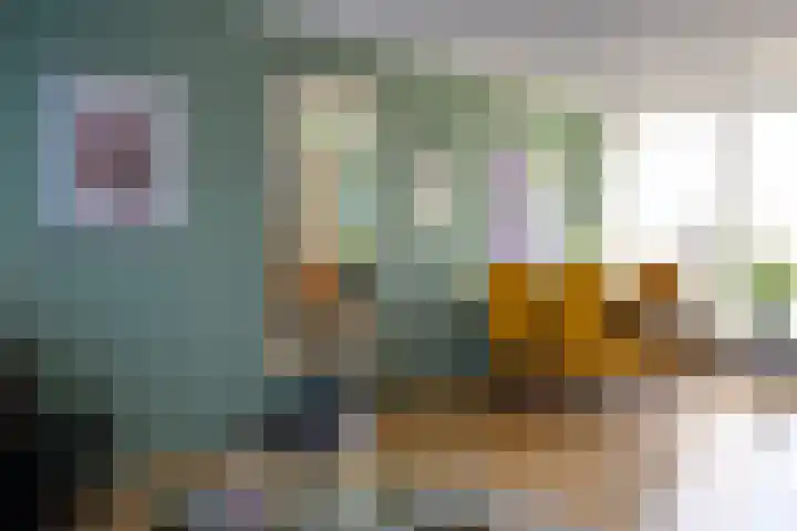 Apollostraat 12 Heel thumbnail 6