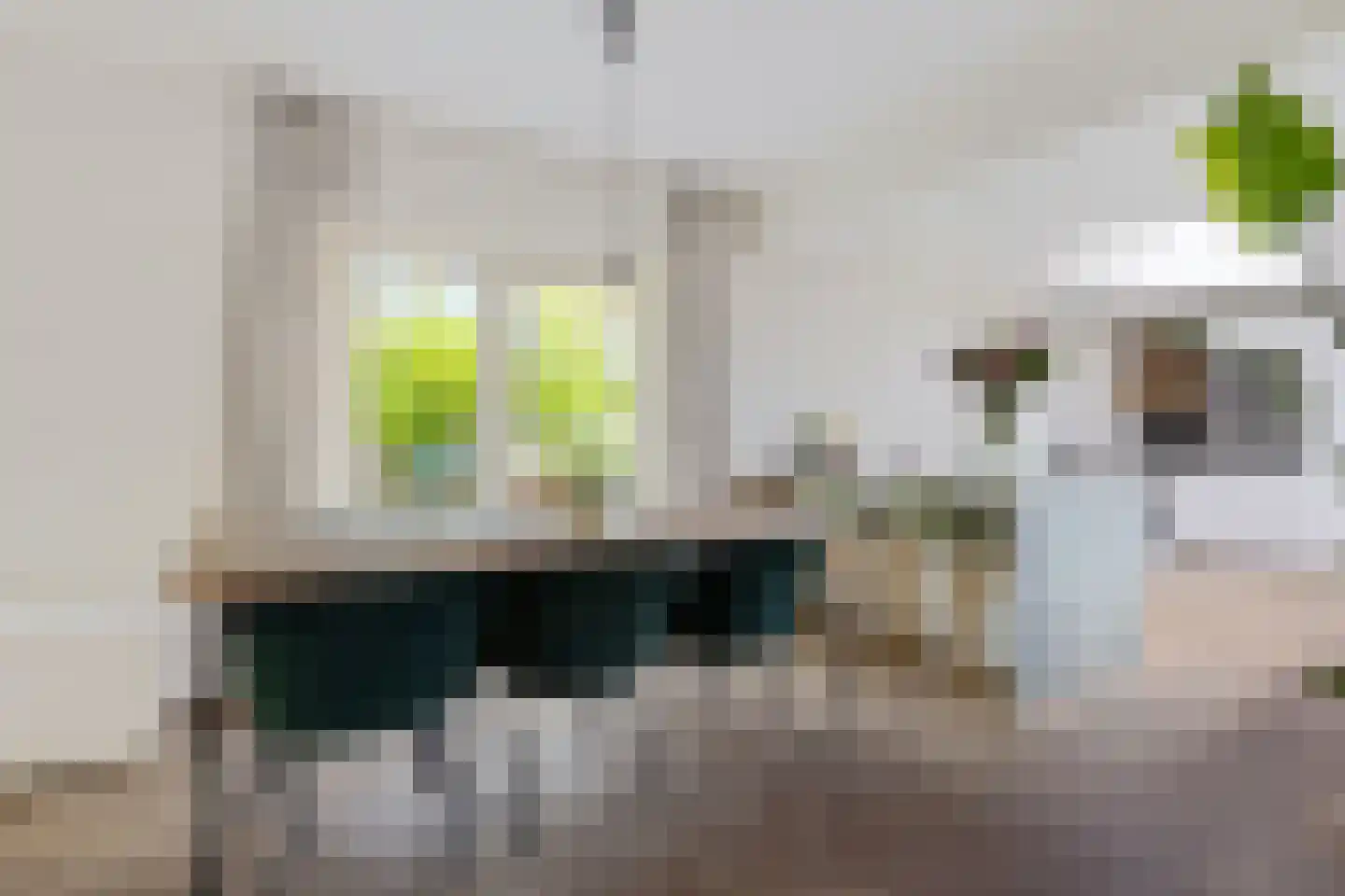 Apollostraat 24 Aalsmeer thumbnail 10
