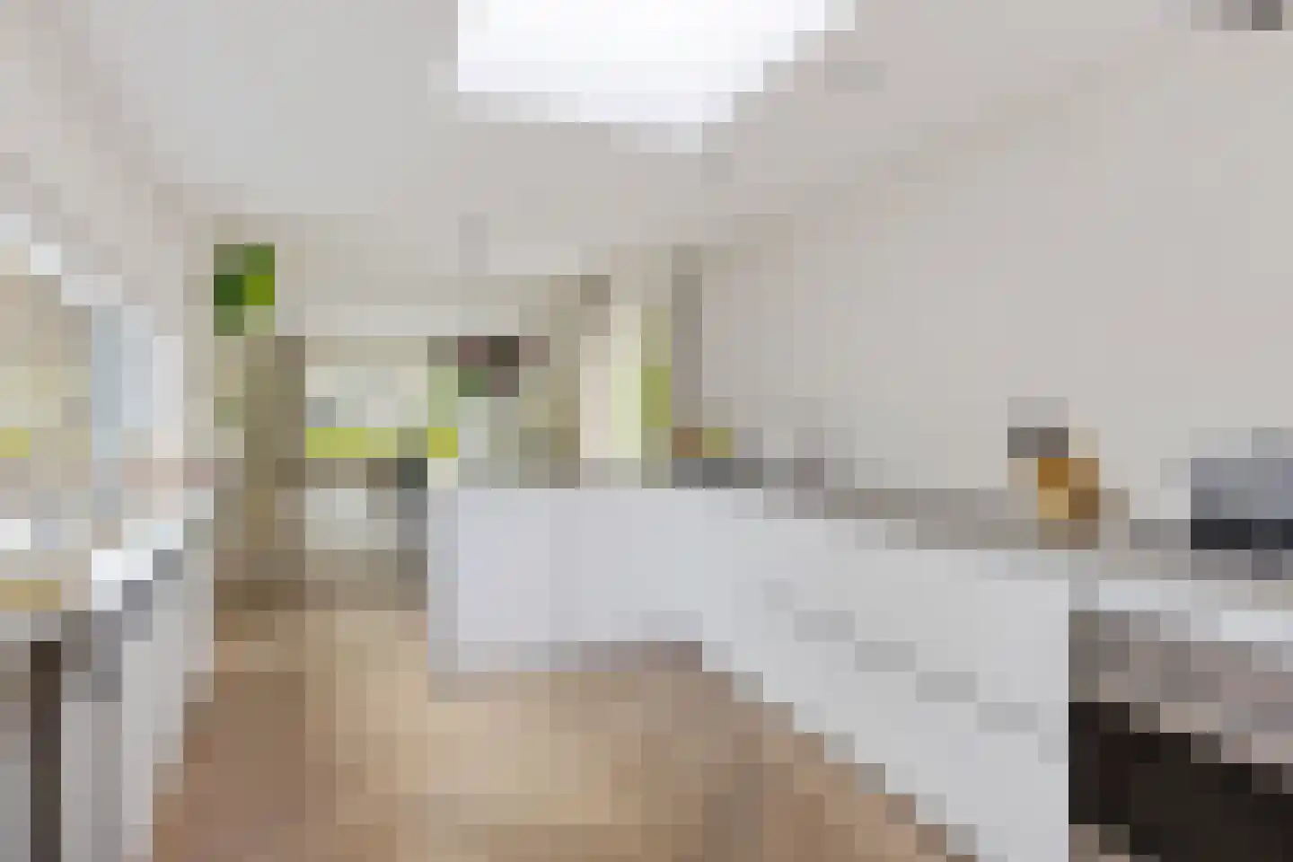 Apollostraat 24 Aalsmeer thumbnail 13