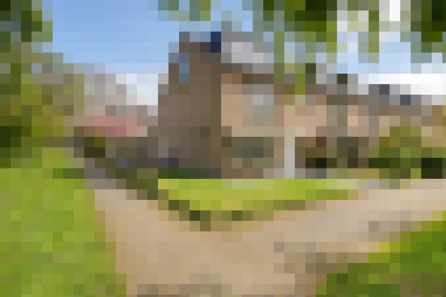 Apollostraat 24 Aalsmeer thumbnail 32