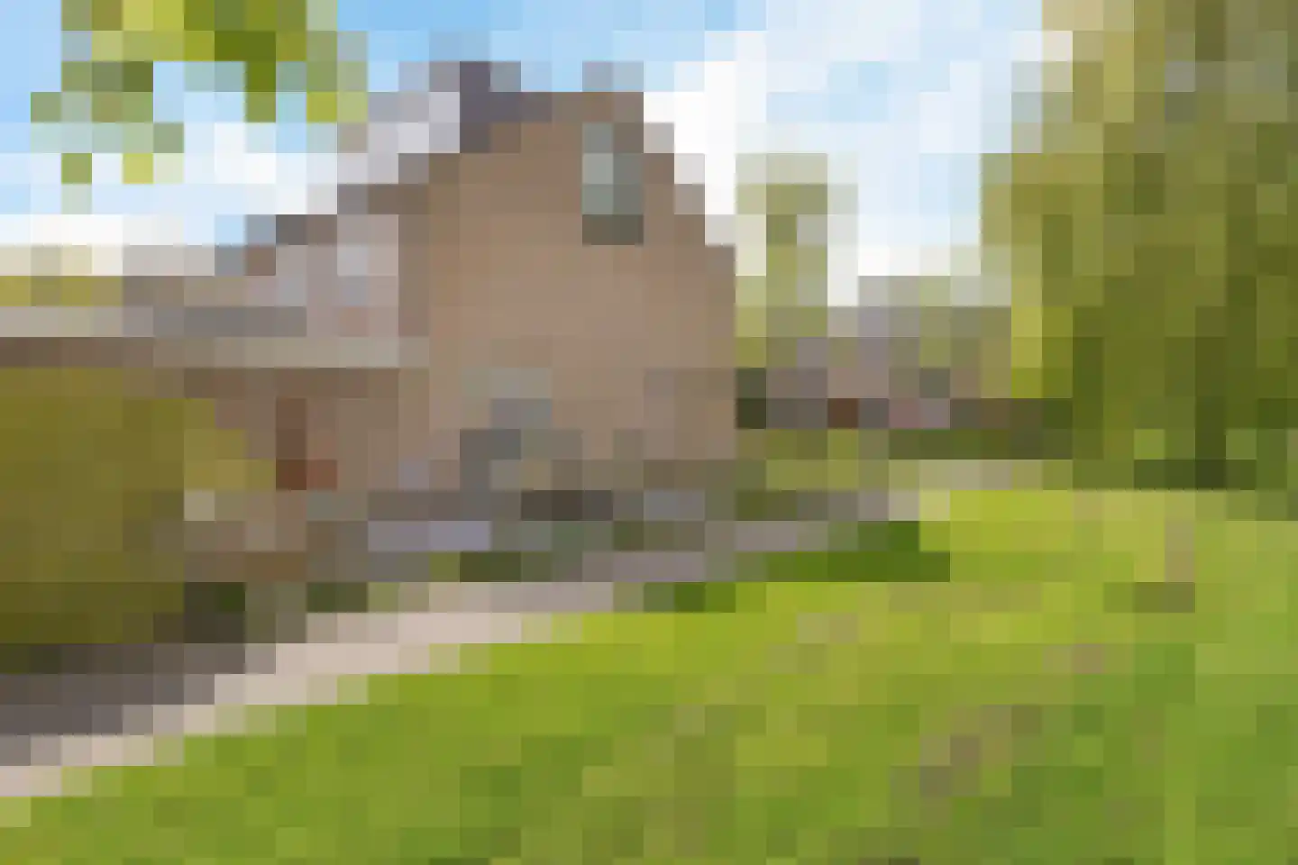 Apollostraat 24 Aalsmeer thumbnail 33