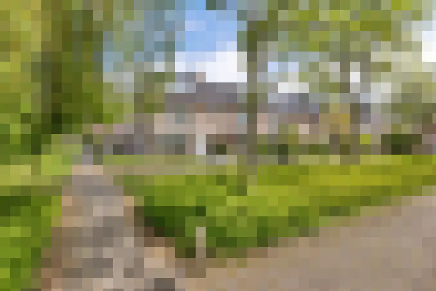 Apollostraat 24 Aalsmeer thumbnail 36