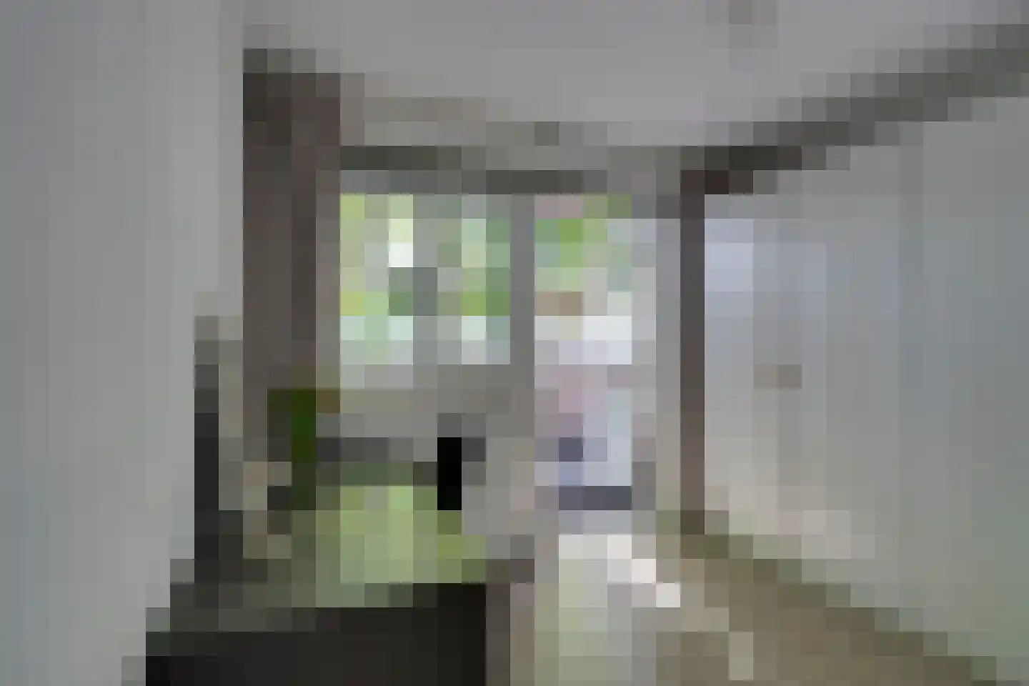 Apollostraat 29 Aalsmeer thumbnail 27
