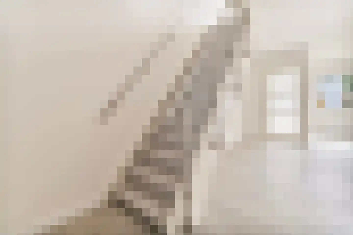 Apollostraat 3 Roermond thumbnail 16