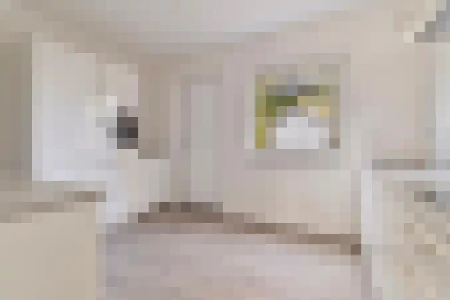 Apollostraat 3 Roermond thumbnail 17