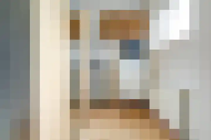Apollostraat 39 Strijen thumbnail 22
