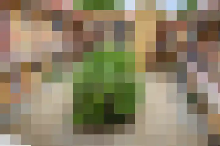Apollostraat 39 Strijen thumbnail 7