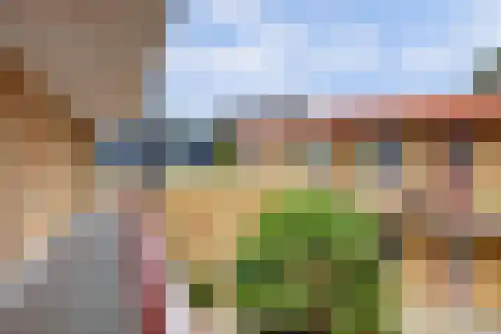 Apollostraat 39 Strijen thumbnail 8