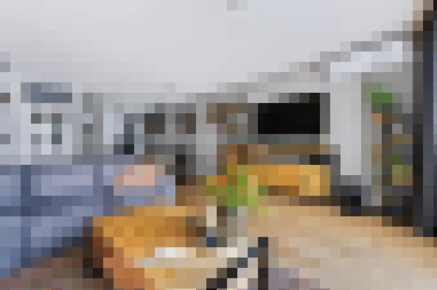 Apollostraat 40 Spijkenisse thumbnail 23