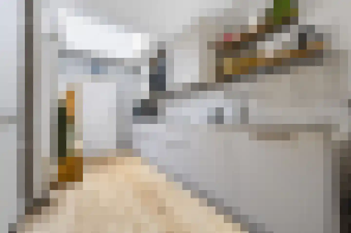 Apollostraat 40 Spijkenisse thumbnail 24
