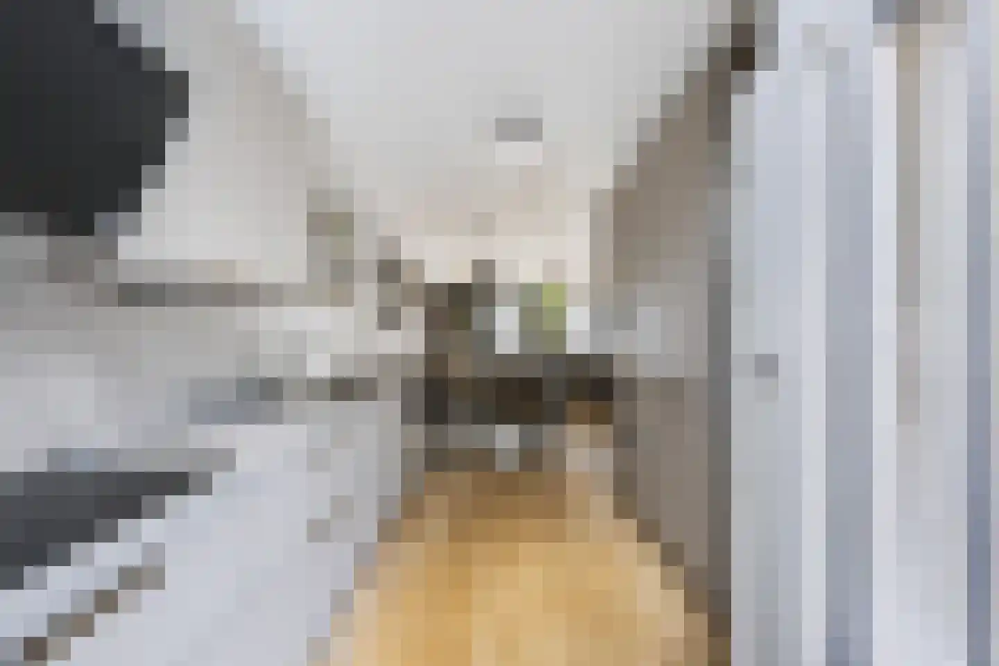 Apollostraat 40 Spijkenisse thumbnail 26