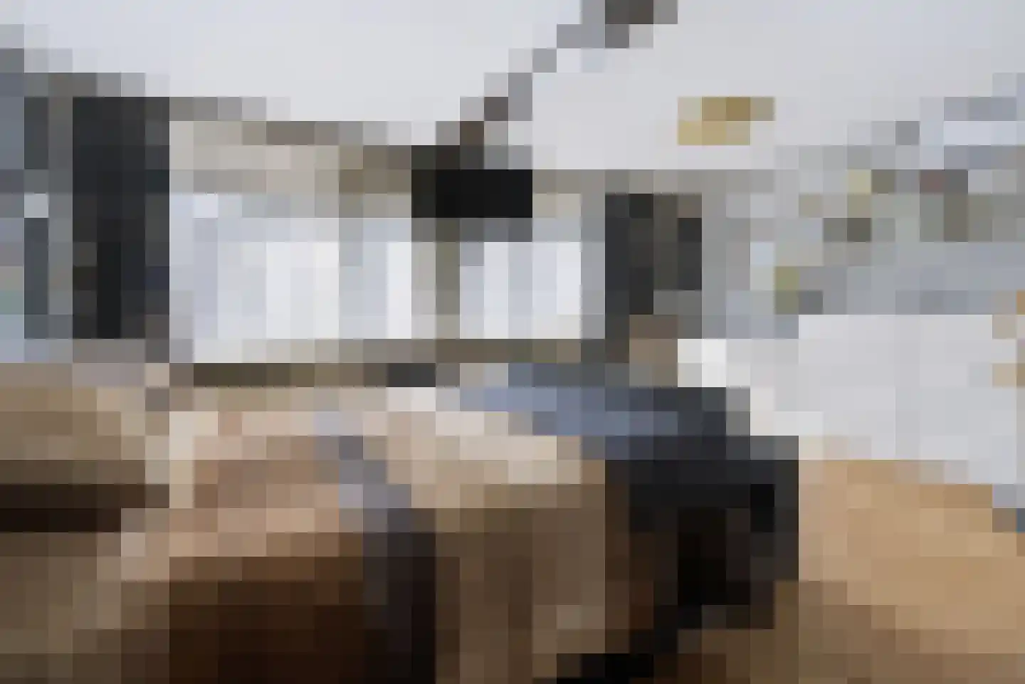 Apollostraat 40 Spijkenisse thumbnail 32