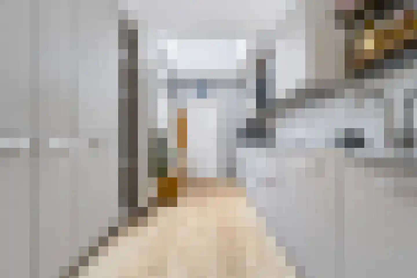 Apollostraat 40 Spijkenisse thumbnail 4