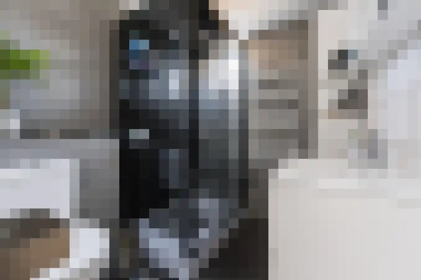 Apollostraat 40 Spijkenisse thumbnail 5