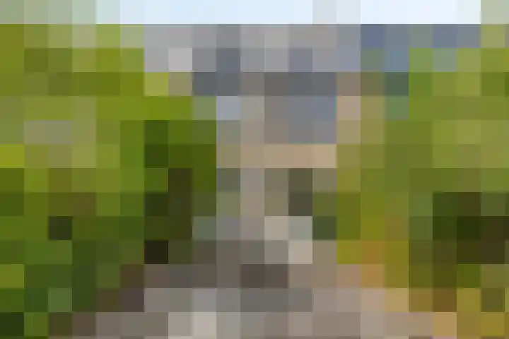 Apollostraat 5 Spijkenisse thumbnail 10
