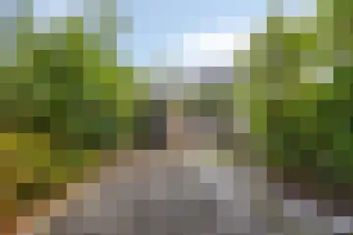 Apollostraat 5 Spijkenisse thumbnail 12