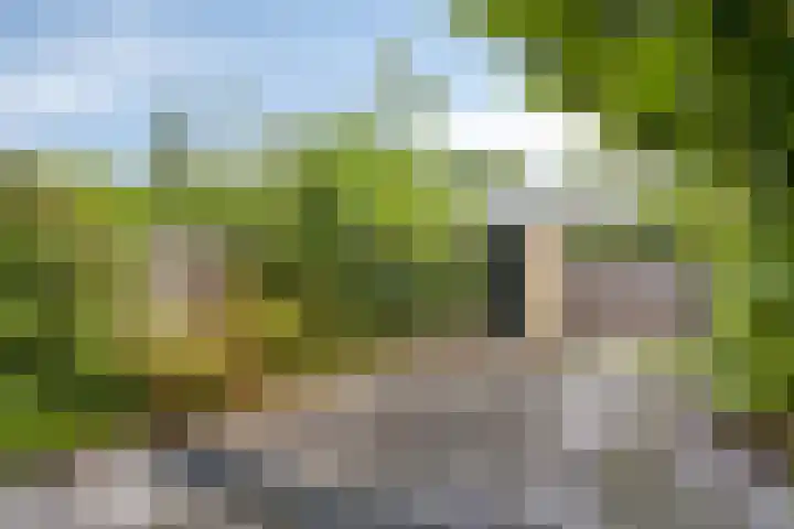 Apollostraat 5 Spijkenisse thumbnail 13