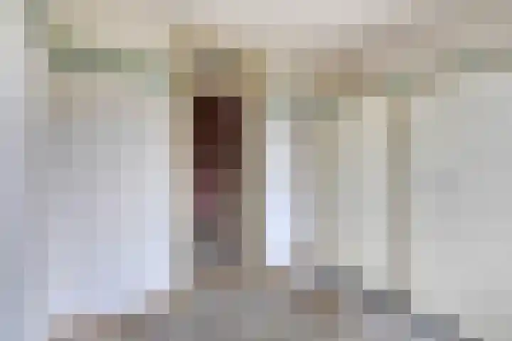 Apollostraat 5 Spijkenisse thumbnail 22