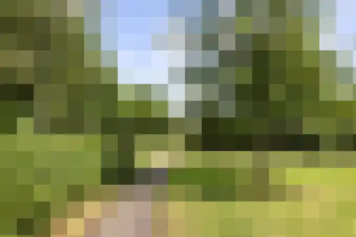 Apollostraat 5 Spijkenisse thumbnail 30