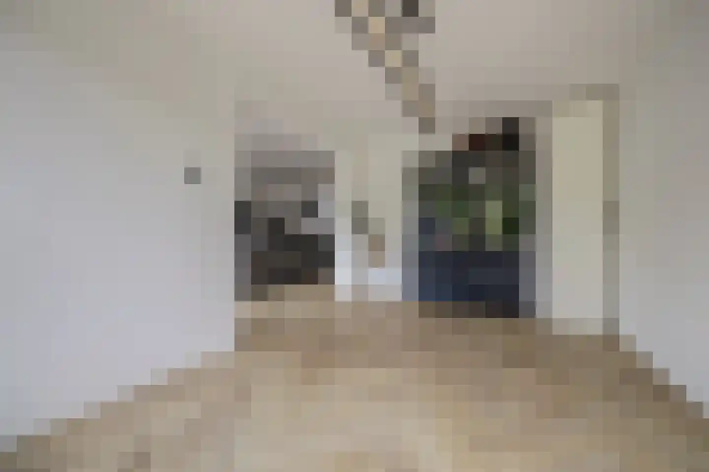 Apollostraat 54 Spijkenisse thumbnail 12