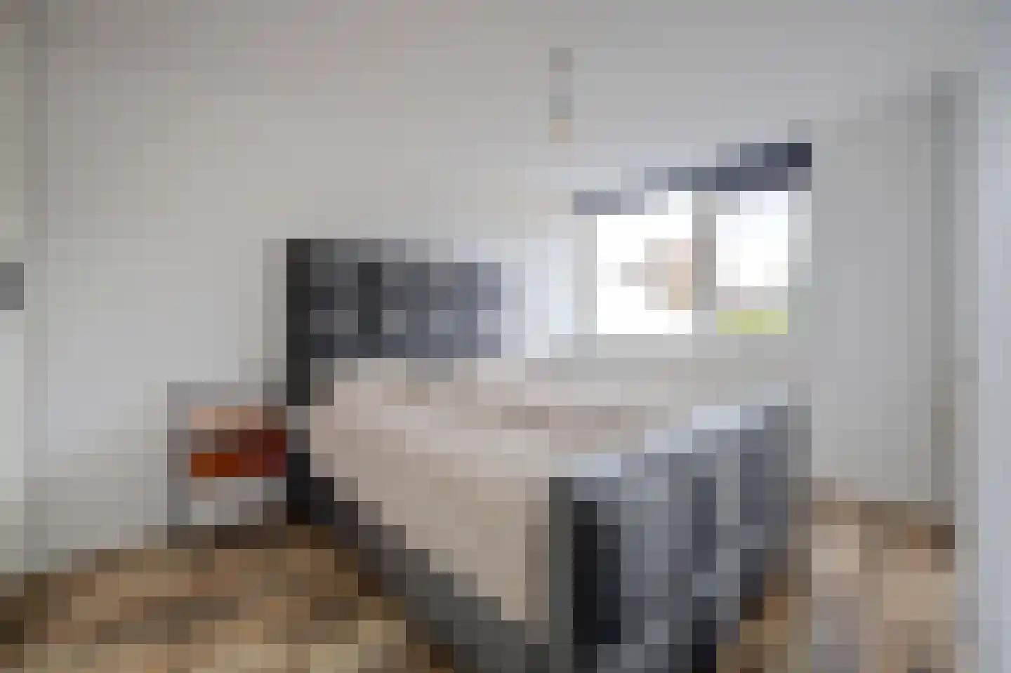 Apollostraat 54 Spijkenisse thumbnail 31