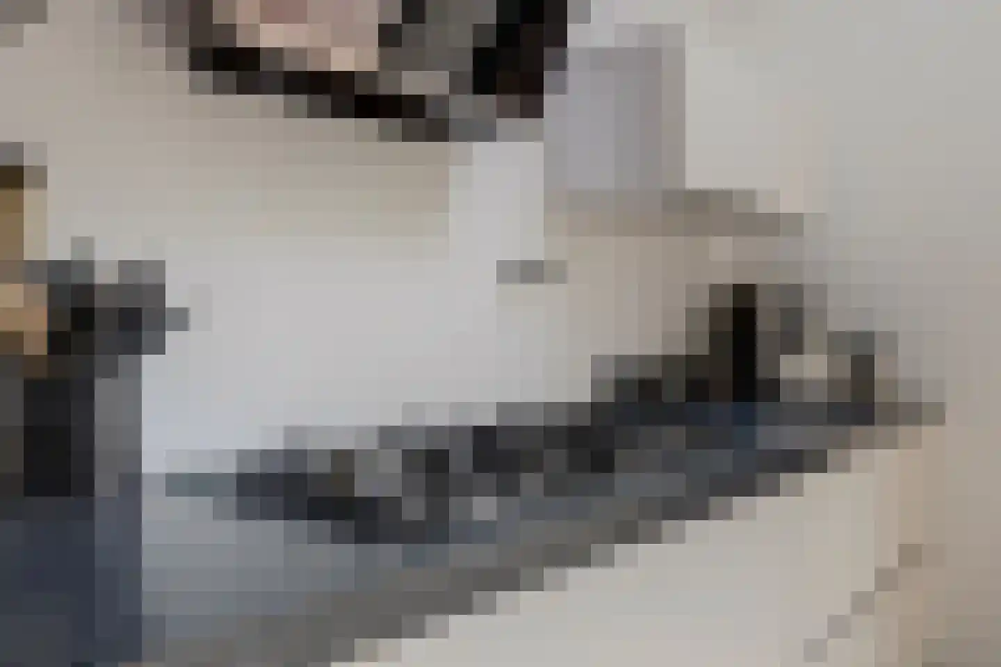 Apollostraat 54 Spijkenisse thumbnail 4