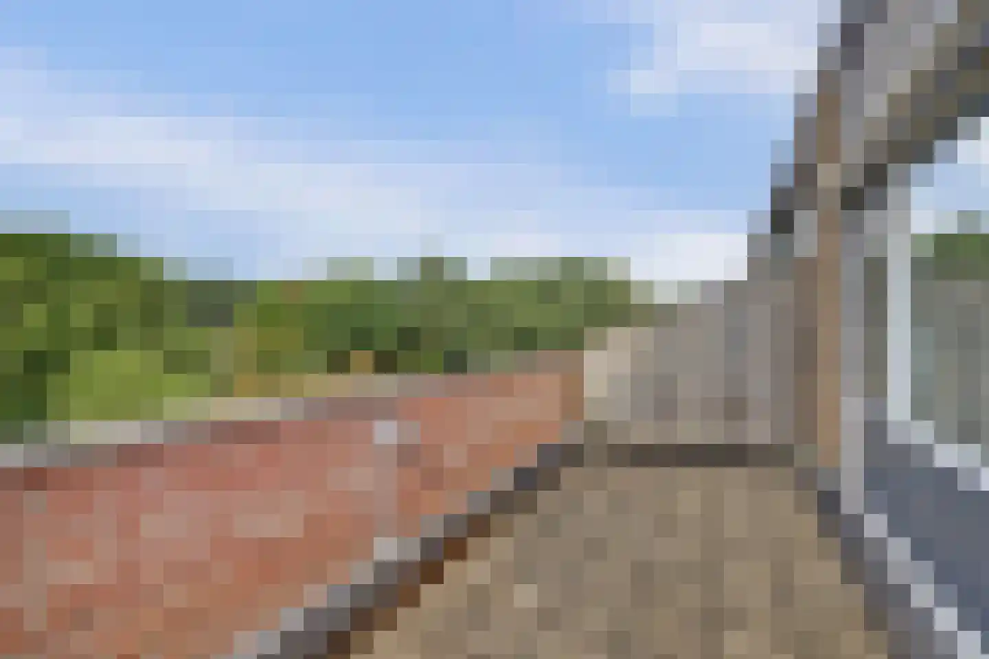 Apollostraat 54 Spijkenisse thumbnail 44