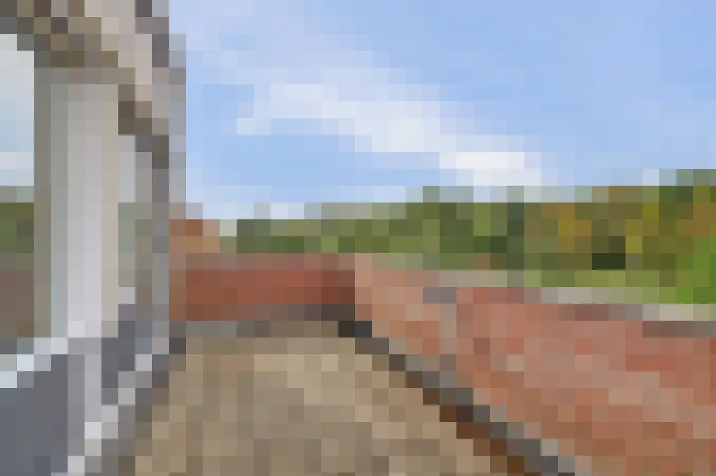 Apollostraat 54 Spijkenisse thumbnail 45