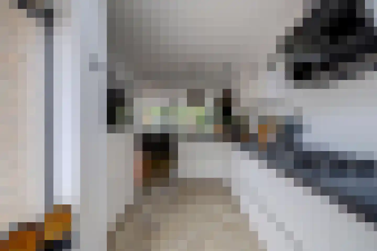Apollostraat 54 Spijkenisse thumbnail 5