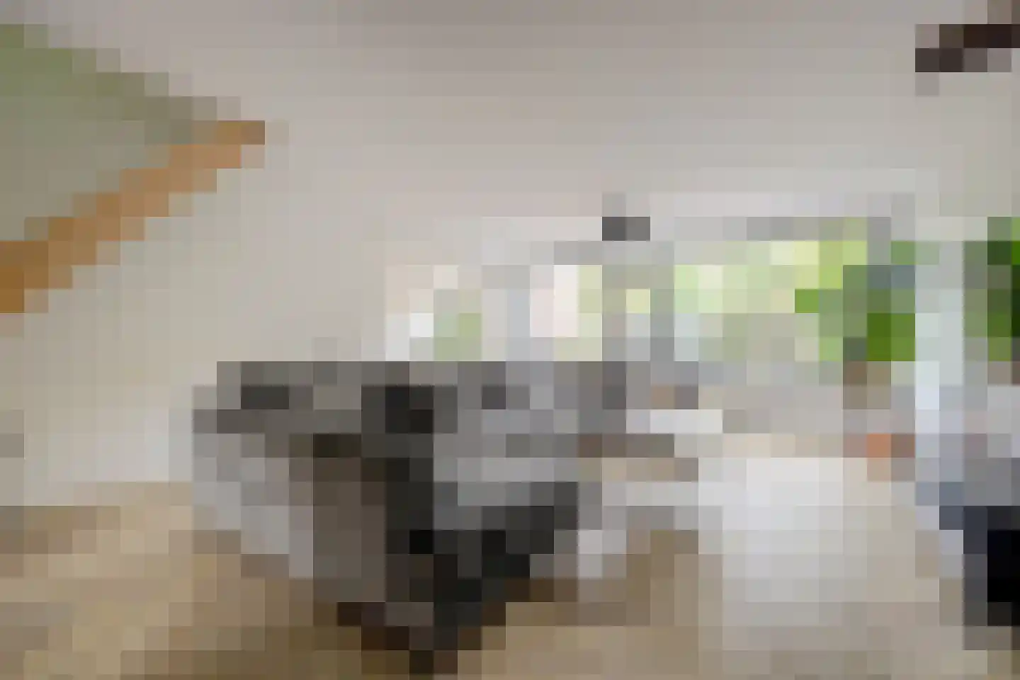 Apollostraat 54 Spijkenisse thumbnail 6
