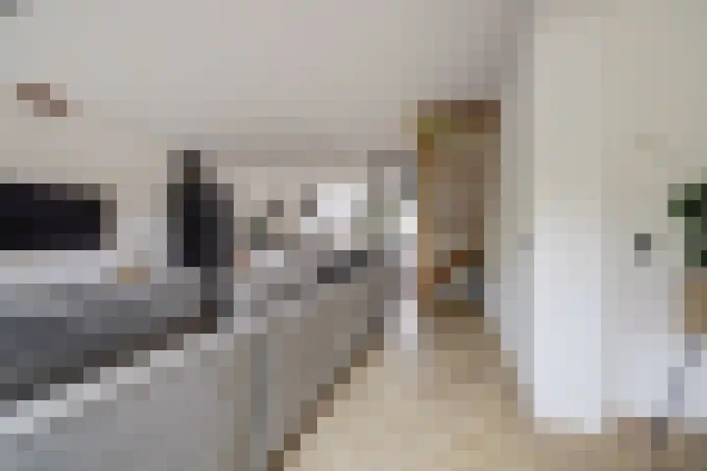 Apollostraat 54 Spijkenisse thumbnail 8
