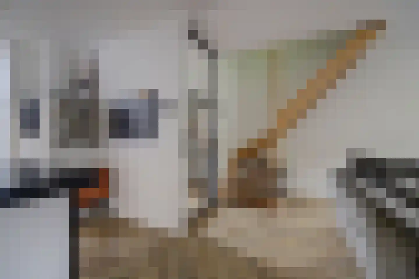 Apollostraat 54 Spijkenisse thumbnail 9