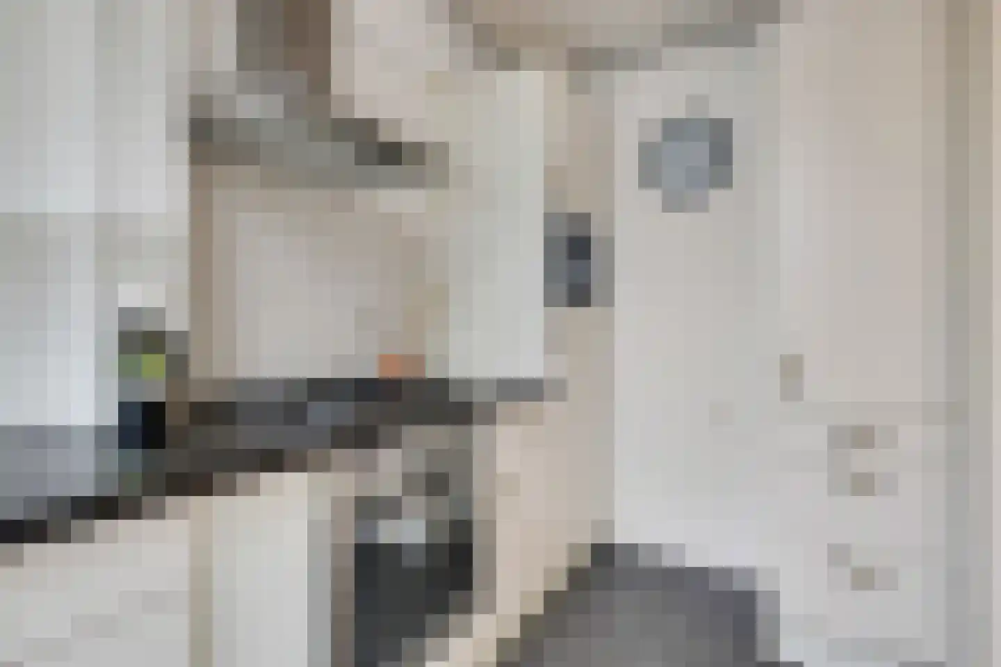 Apollostraat 7 Rheden thumbnail 15