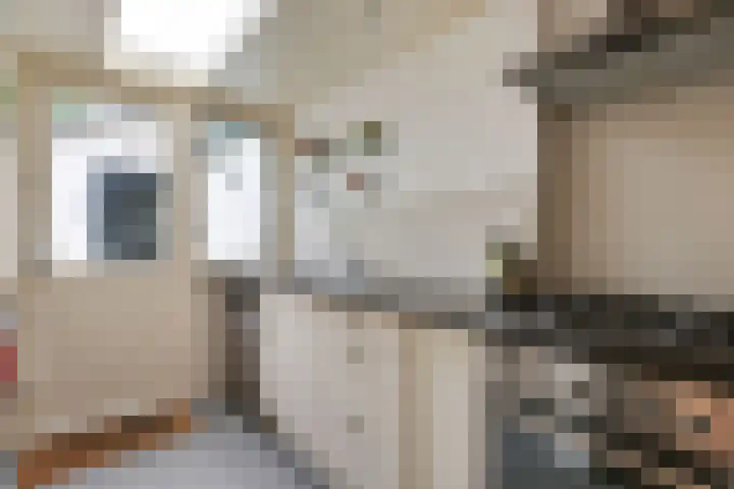 Apollostraat 7 Rheden thumbnail 16