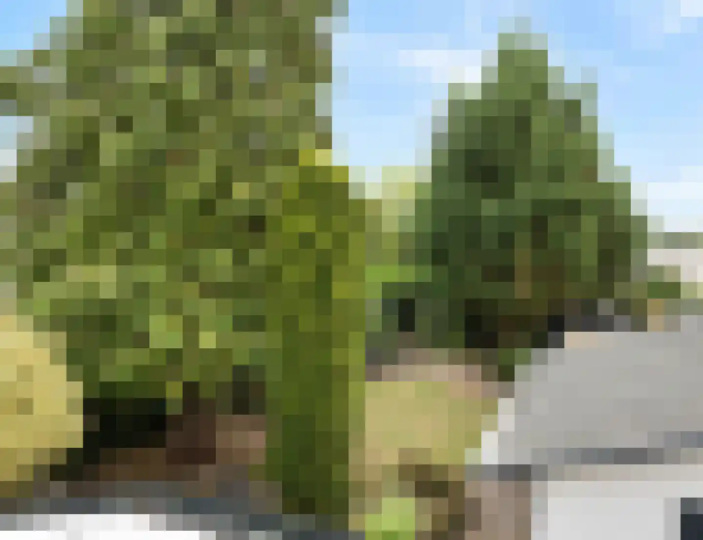 Apollostraat 7 Rheden thumbnail 30
