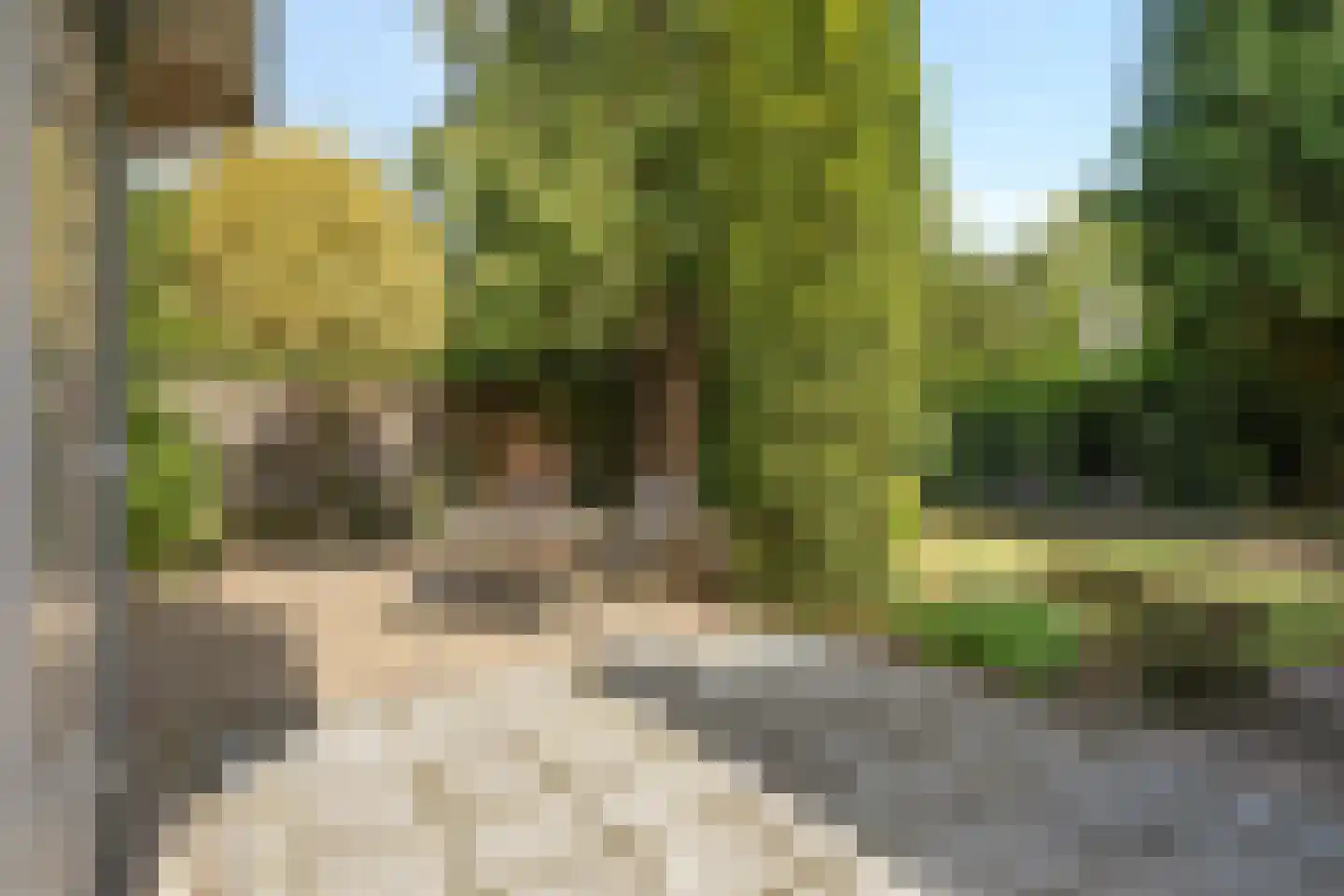 Apollostraat 7 Rheden thumbnail 37