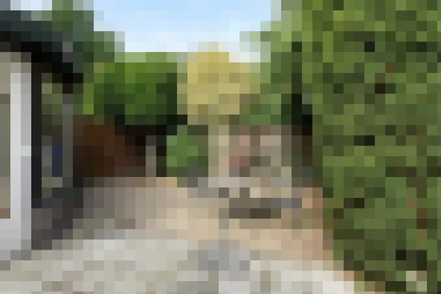 Apollostraat 7 Rheden thumbnail 38