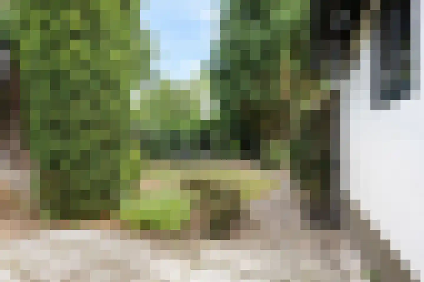 Apollostraat 7 Rheden thumbnail 41
